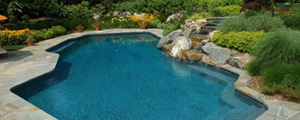 Pool Landscape